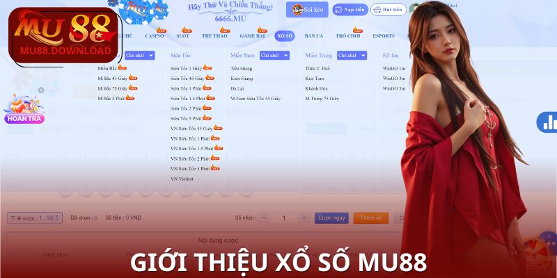 Tìm hiểu toàn diện về sảnh xổ số và cách tham gia