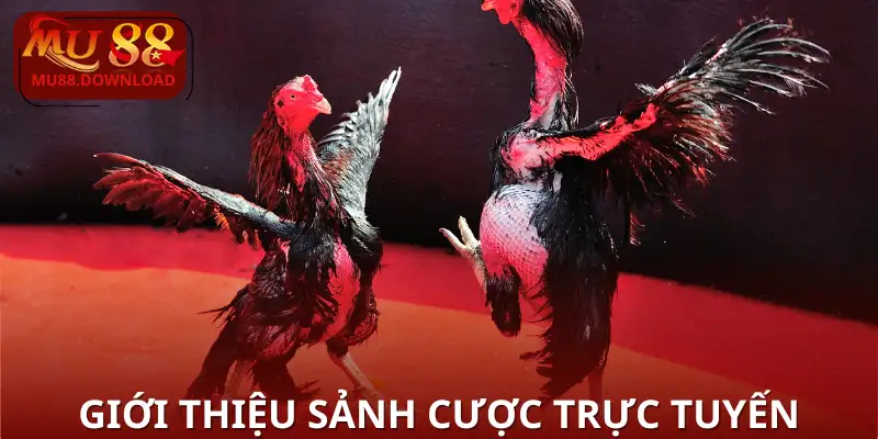 Giới thiệu sảnh cược trực tuyến