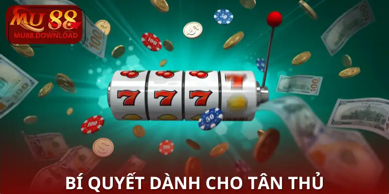 Bí quyết dành cho tân thủ