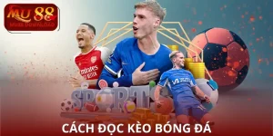 cach-doc-keo-bong-da
